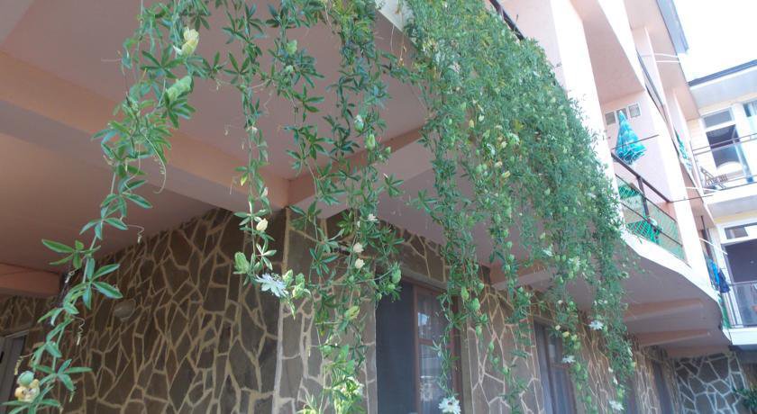 Гостиница Oasis Guest House Вардане-73